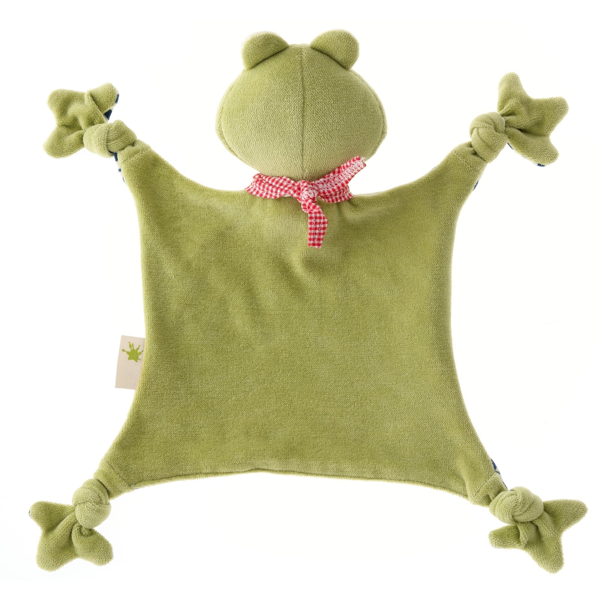 Organic Frog Blankie