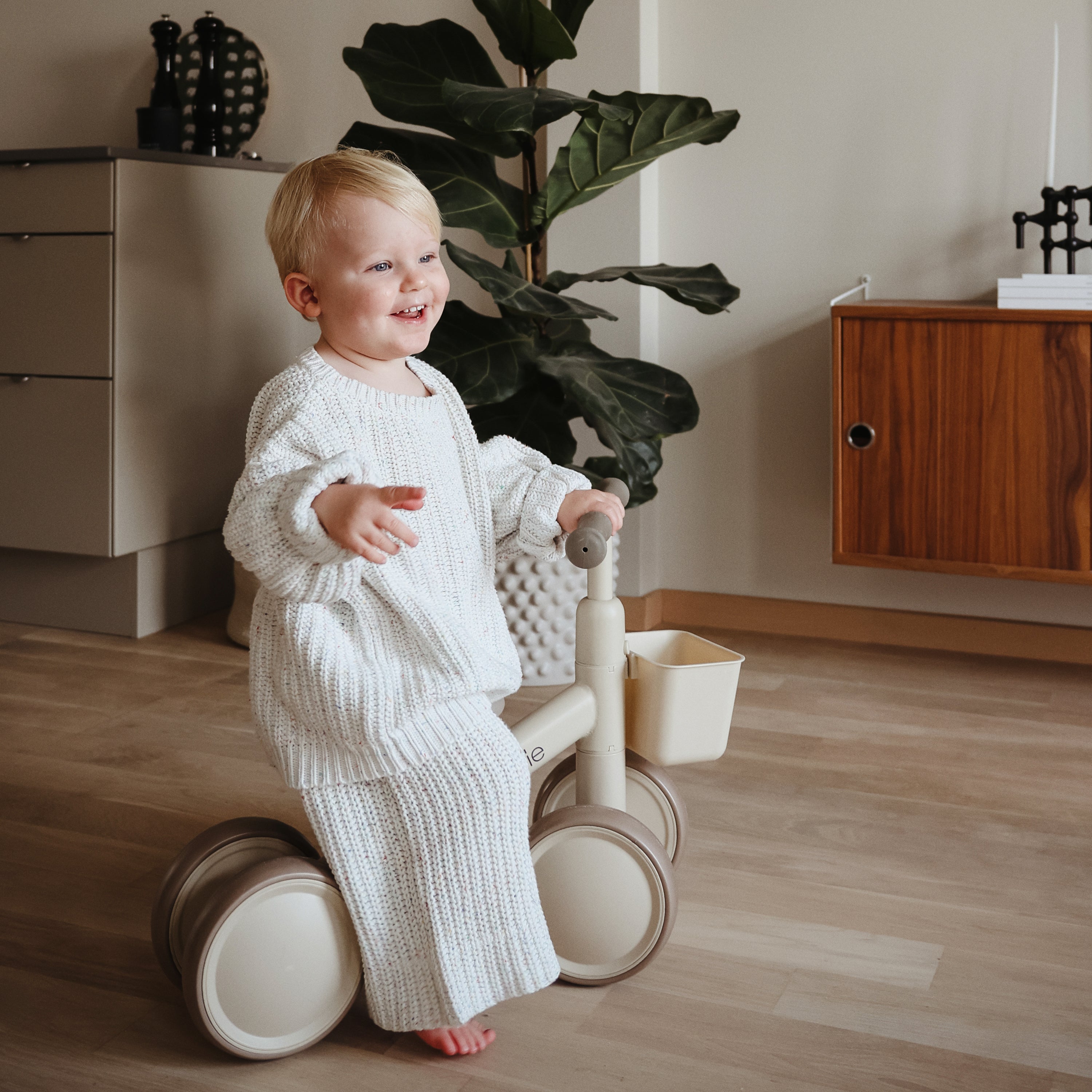 Mini Toddler Bike
