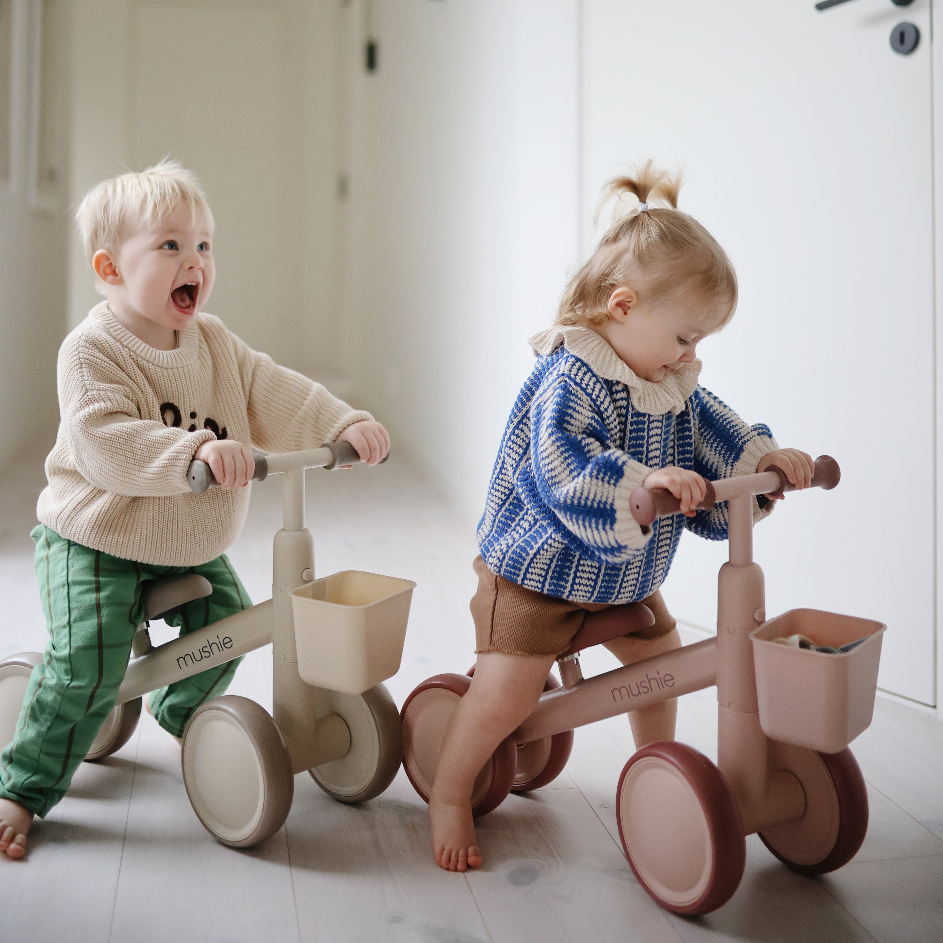 Mini Toddler Bike
