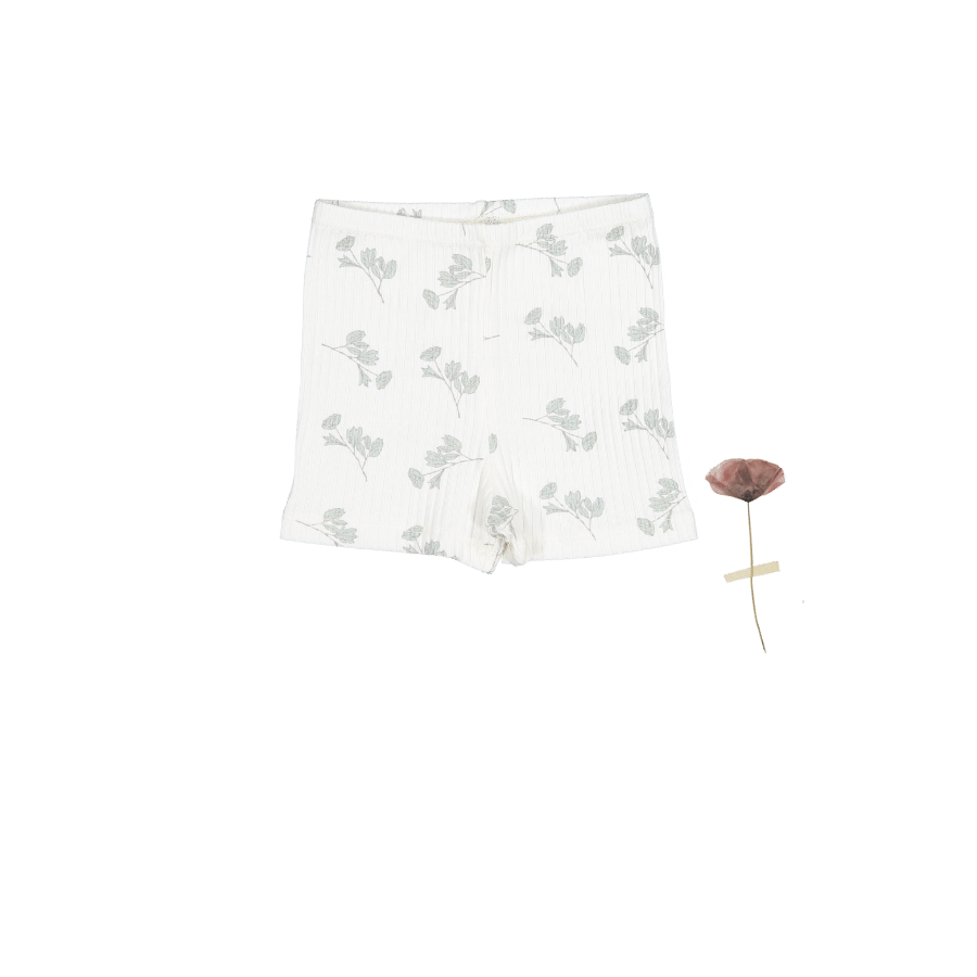 The Printed Short  - Celia