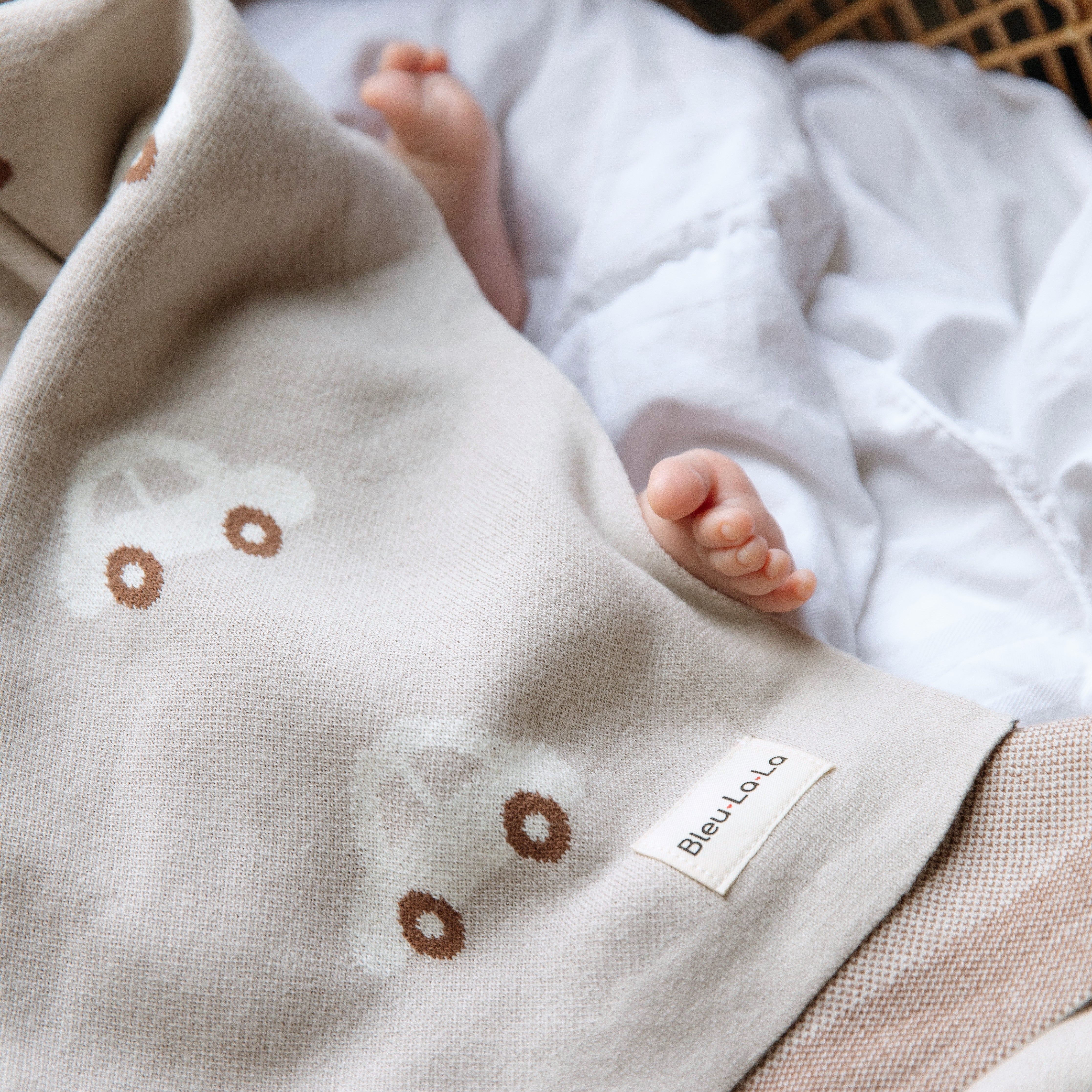 Whimsy Collection - Luxury 100% Cotton Knit Swaddle Baby Blanket