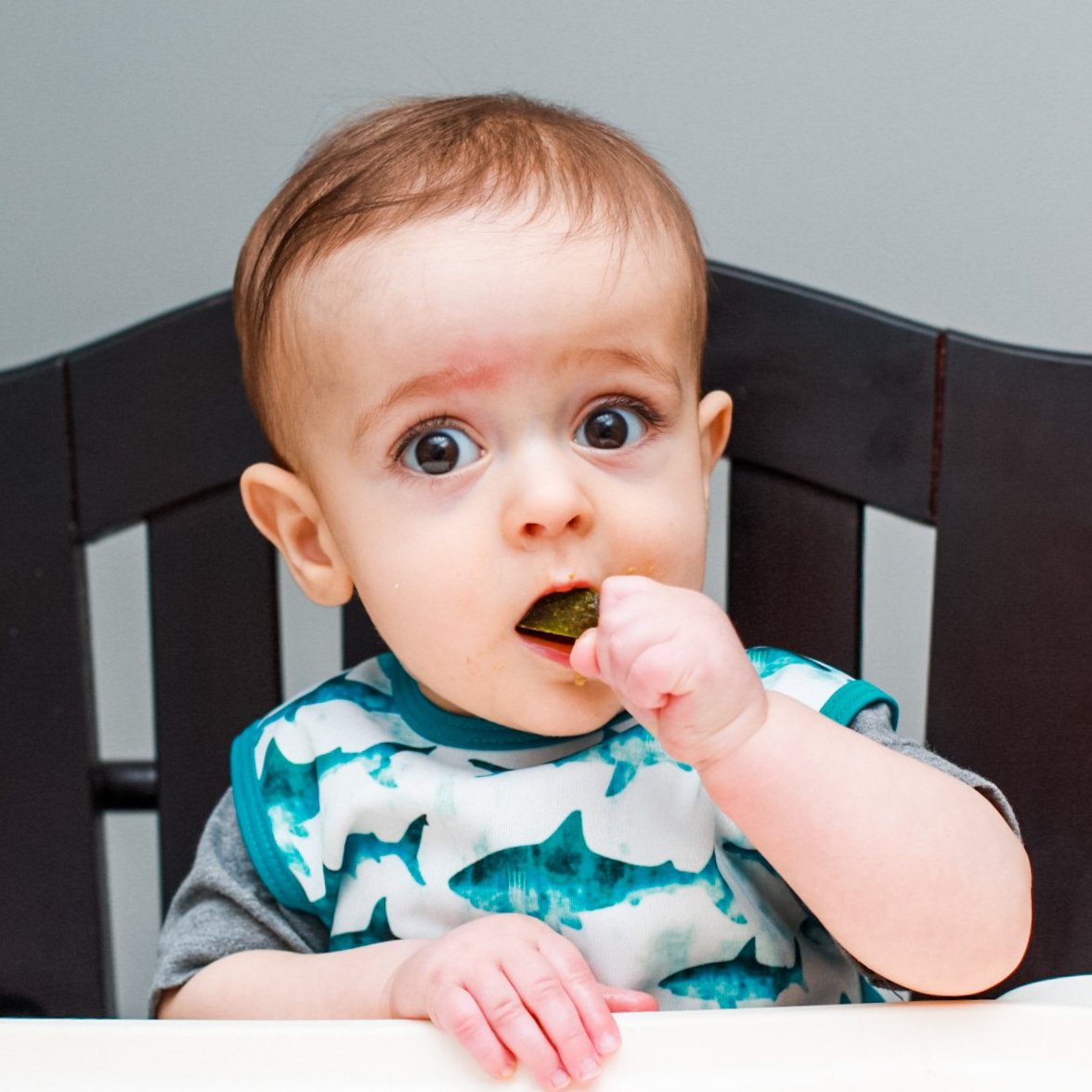 Shark Attack Bapron BapronBaby