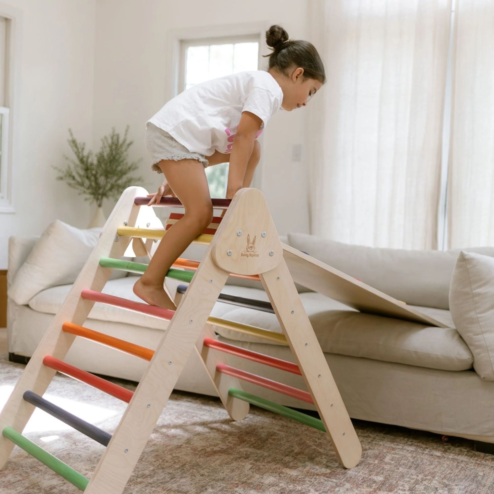 Classic Climber Playset