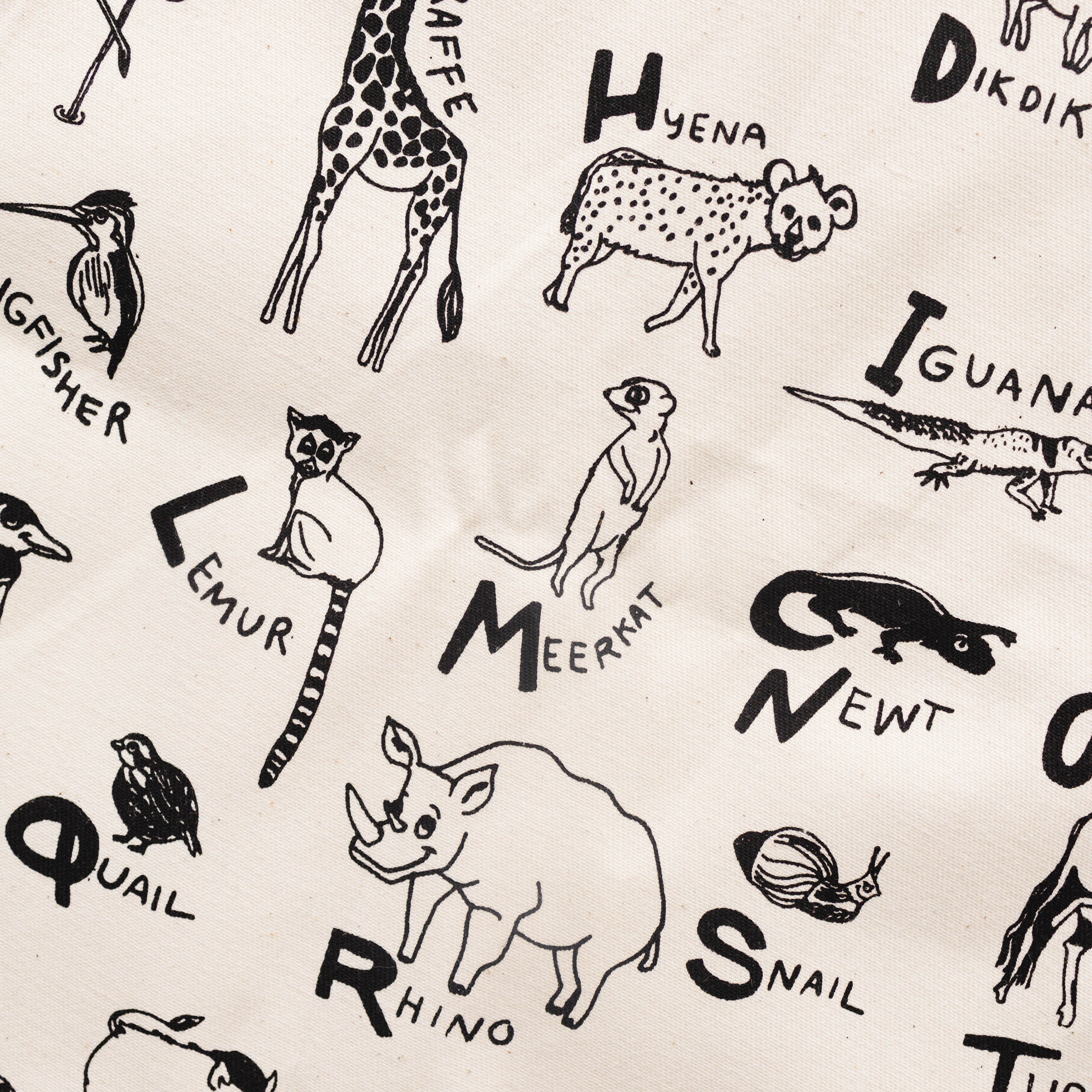Animal Alphabet Canvas Banner | Educational Wall Hanging