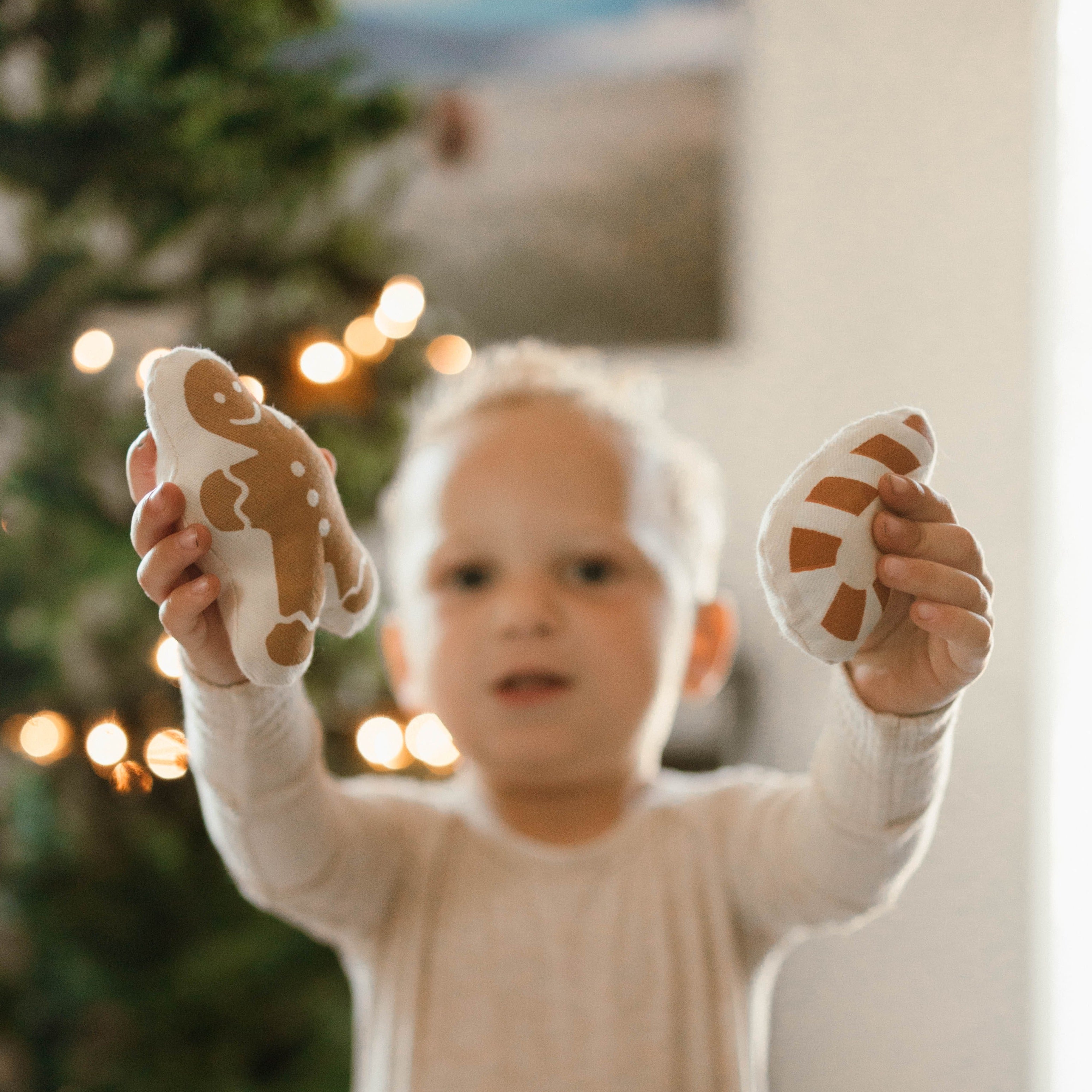 gingerbread house pillow