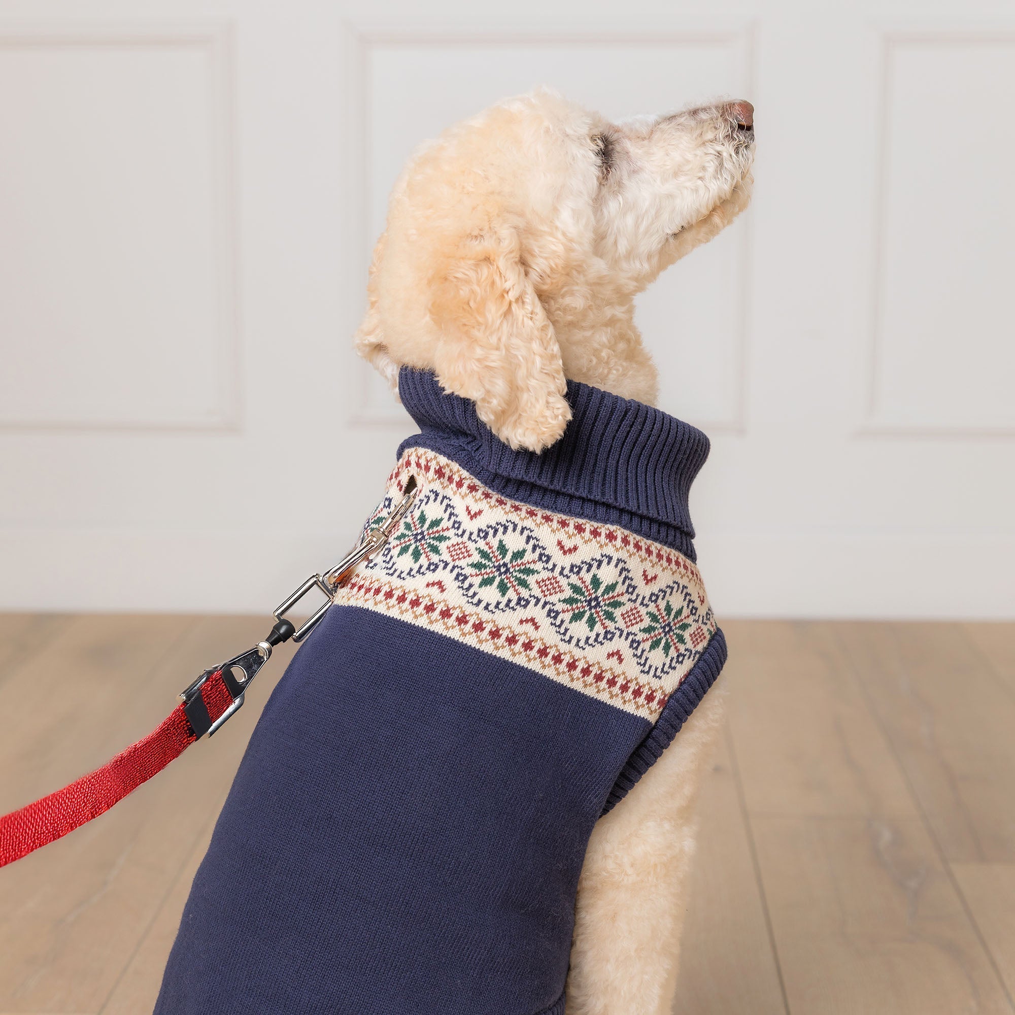 Organic Fair Isle Dog Sweater