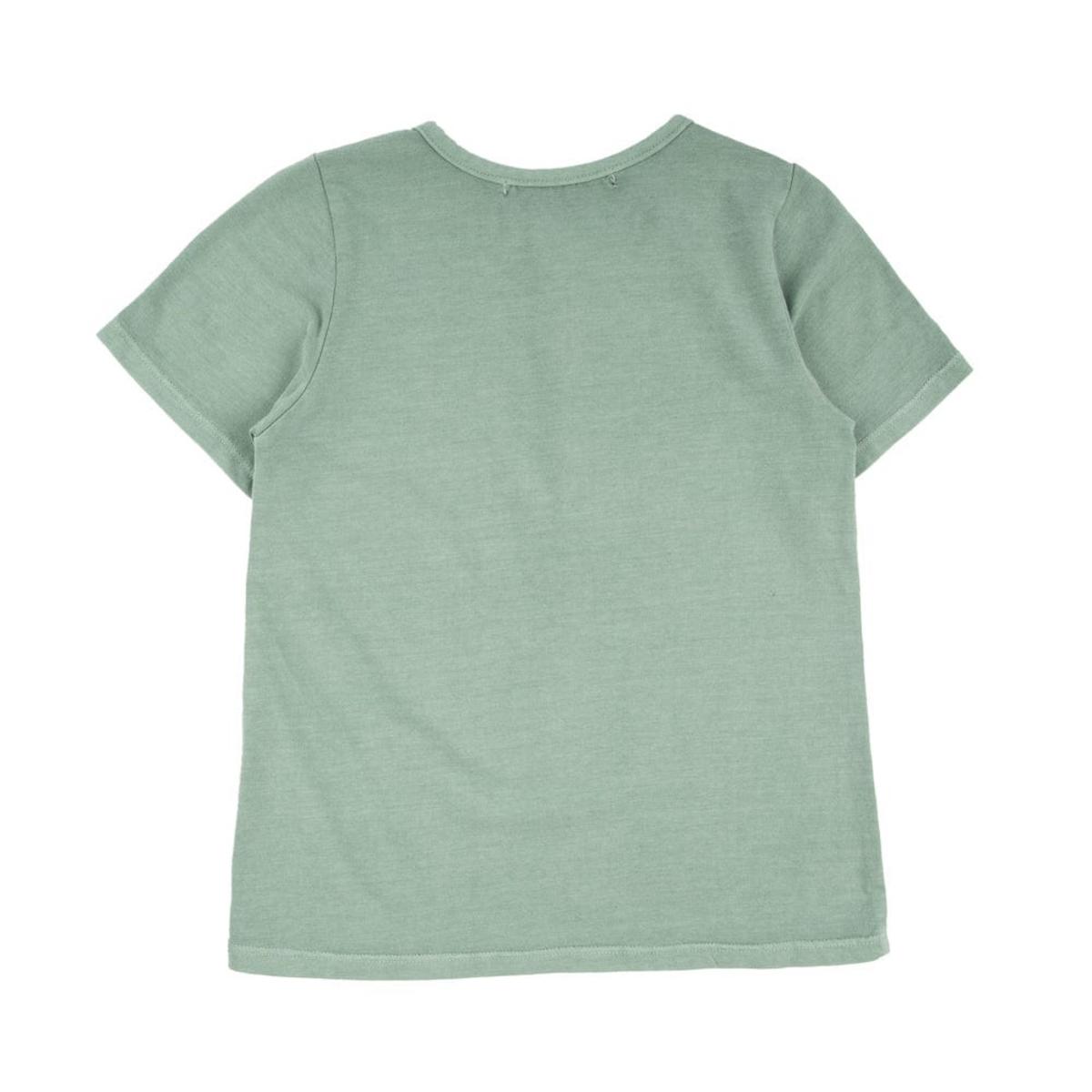 Pauli Henley - Crocodile