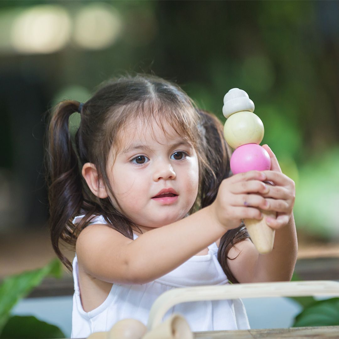 Ice Cream Set