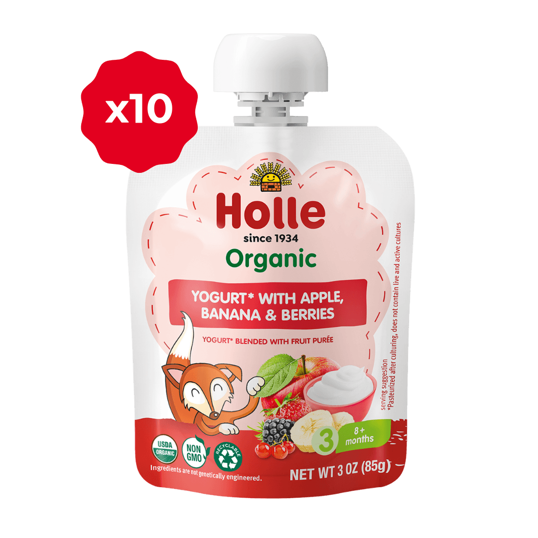 Holle Organic Yogurt Pouches - Apple, Banana & Berries