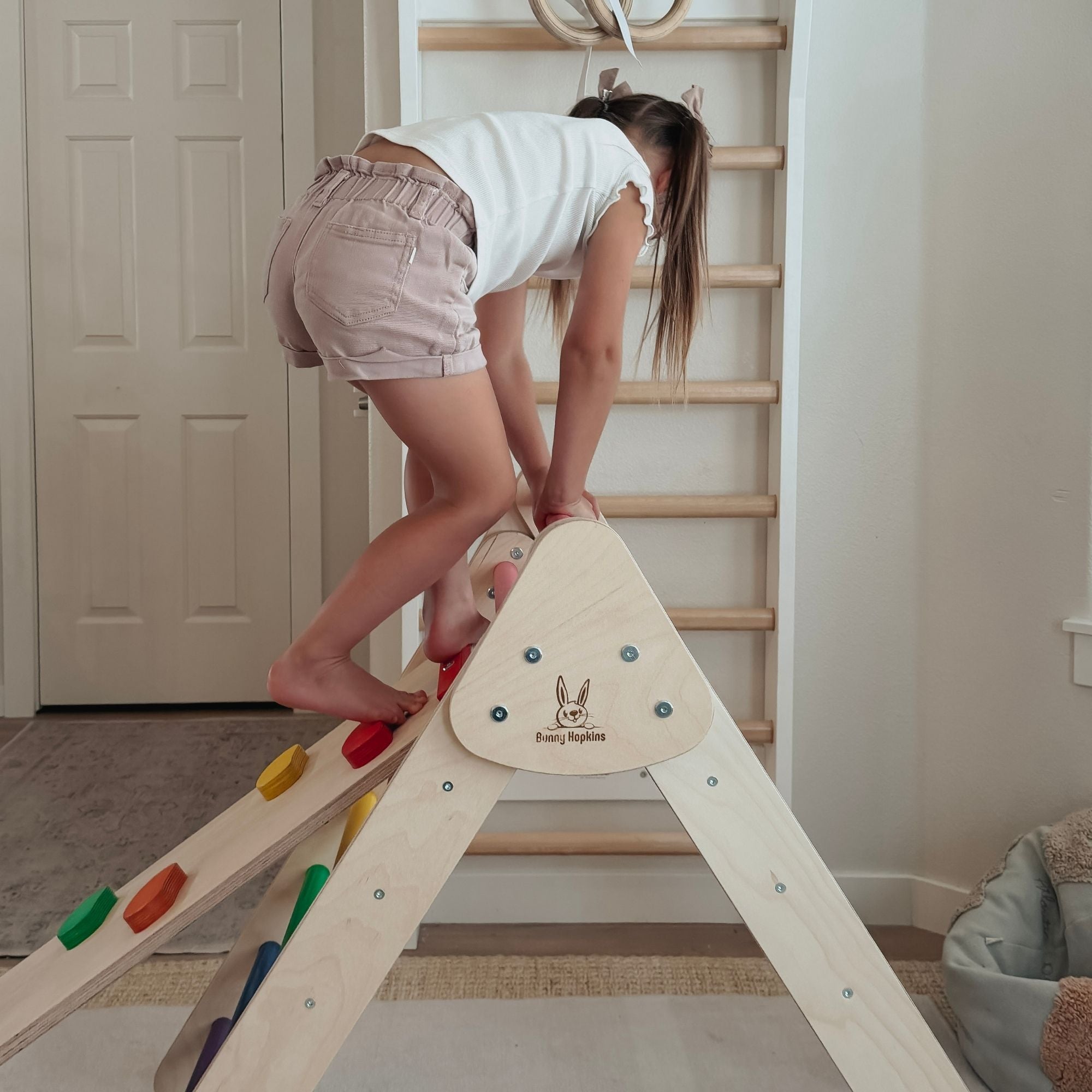 Classic Climber Playset