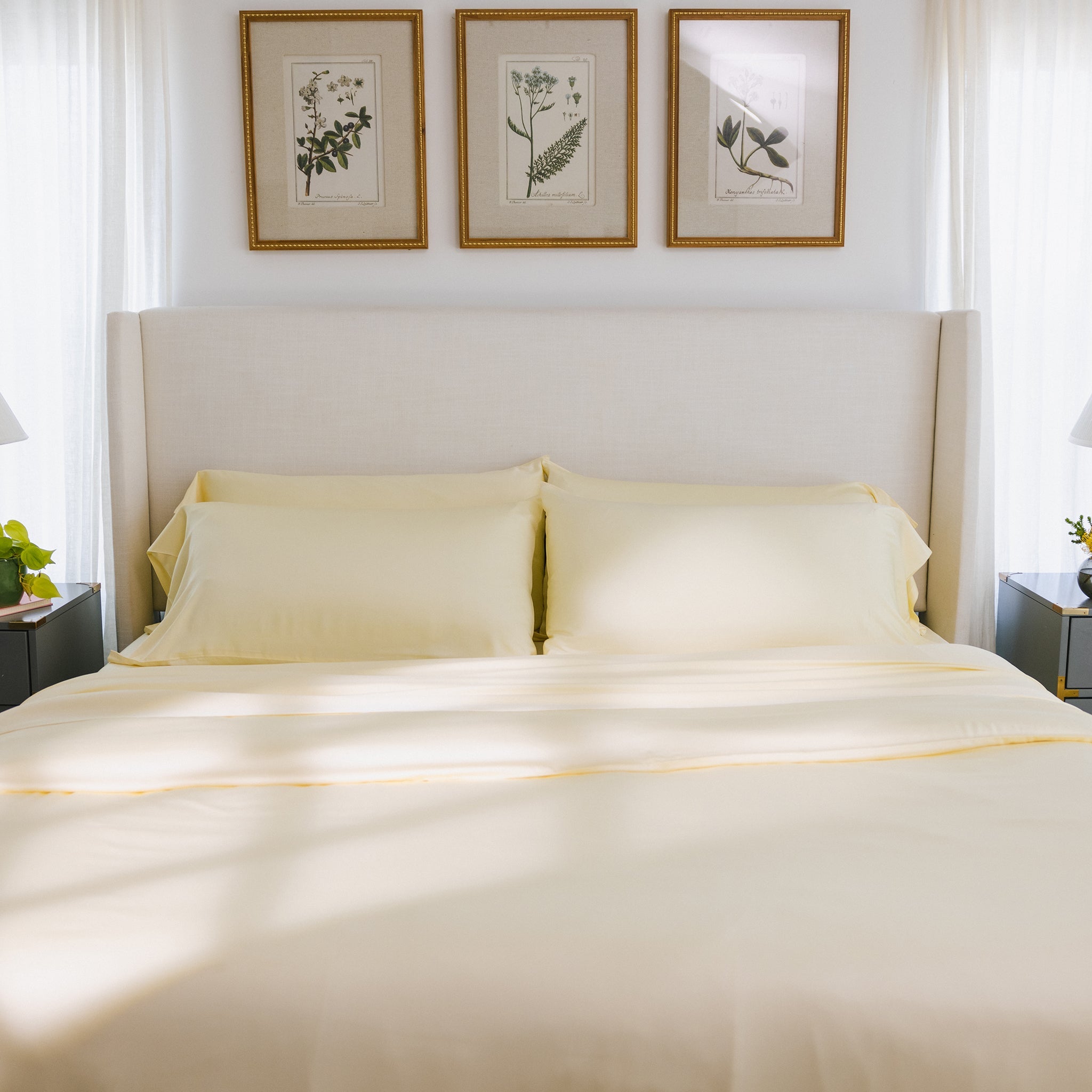 Bamboo Duvet Cover - Last Chance