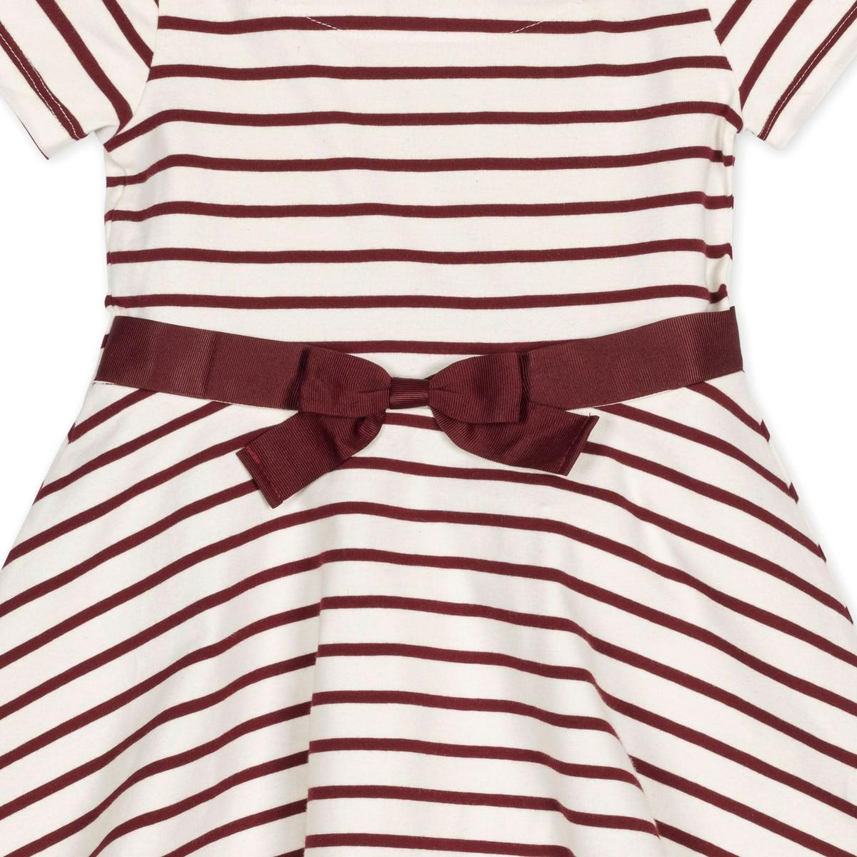 Organic Short Sleeve Skater Dress - White and Oxblood Stripe