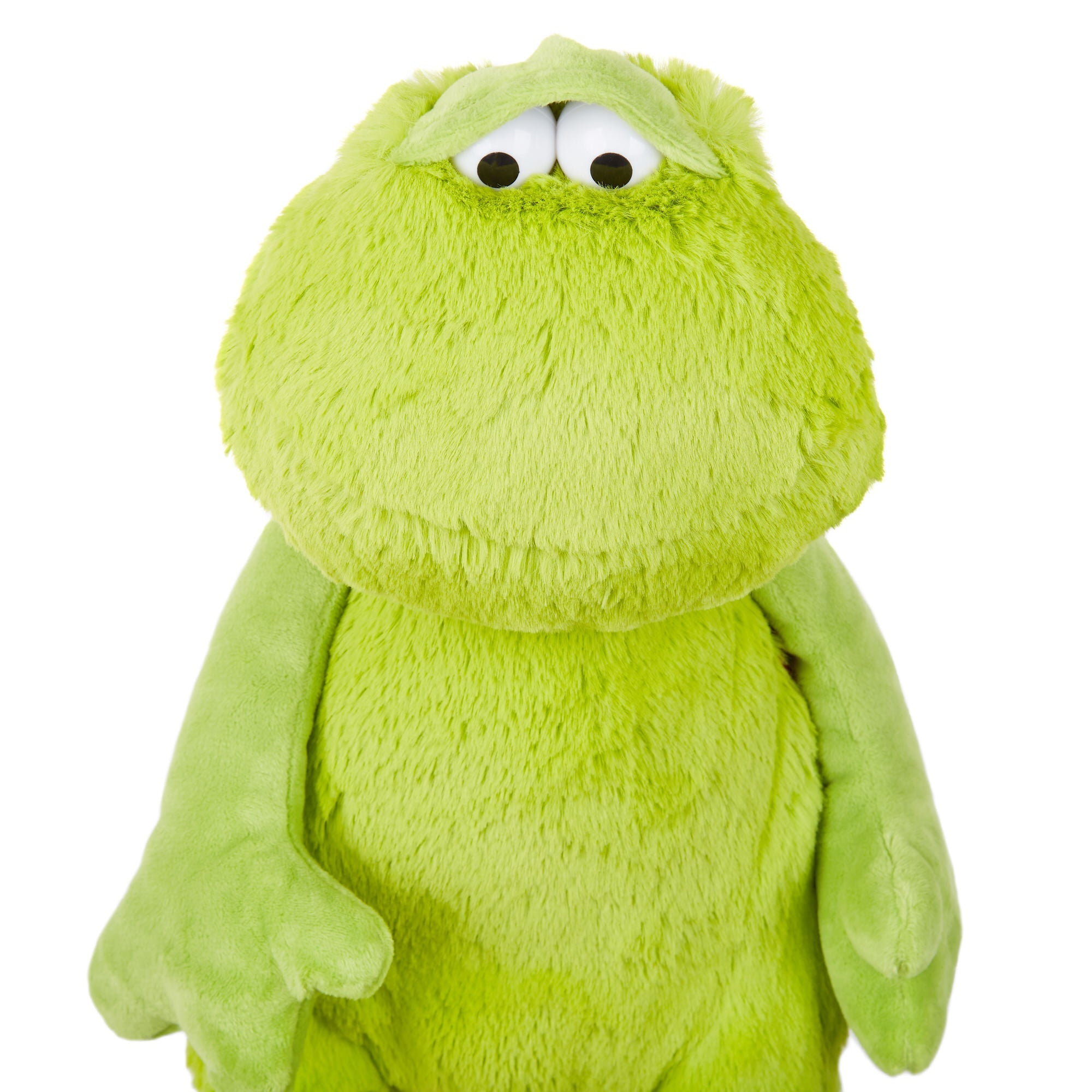 MOOD PET Frog