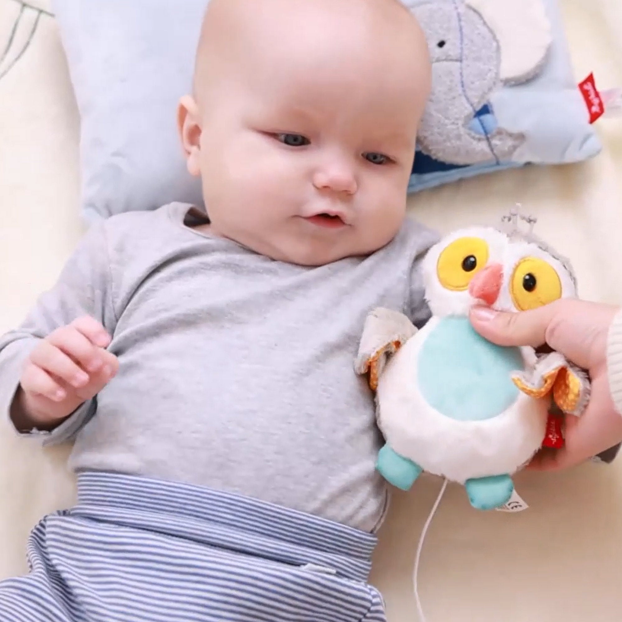 Mini Owl Musical Toy