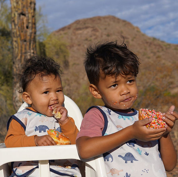 Desert Dinos Bapron BapronBaby