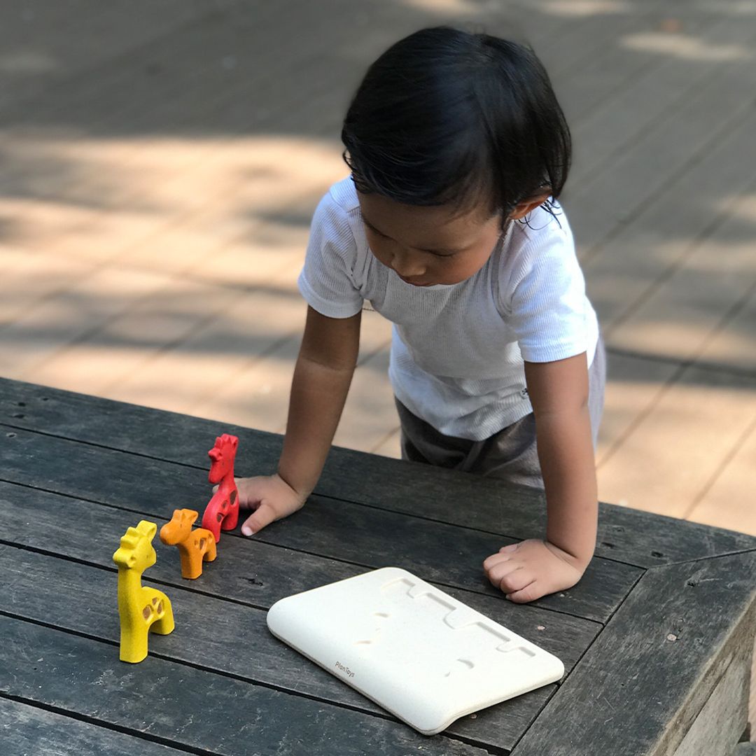 Giraffe Puzzle