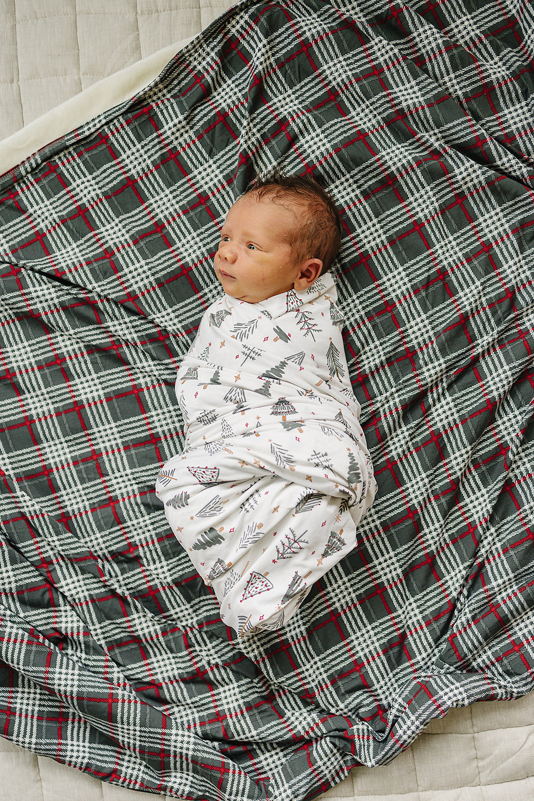 Christmas Tree Stretch Swaddle Mebie Baby