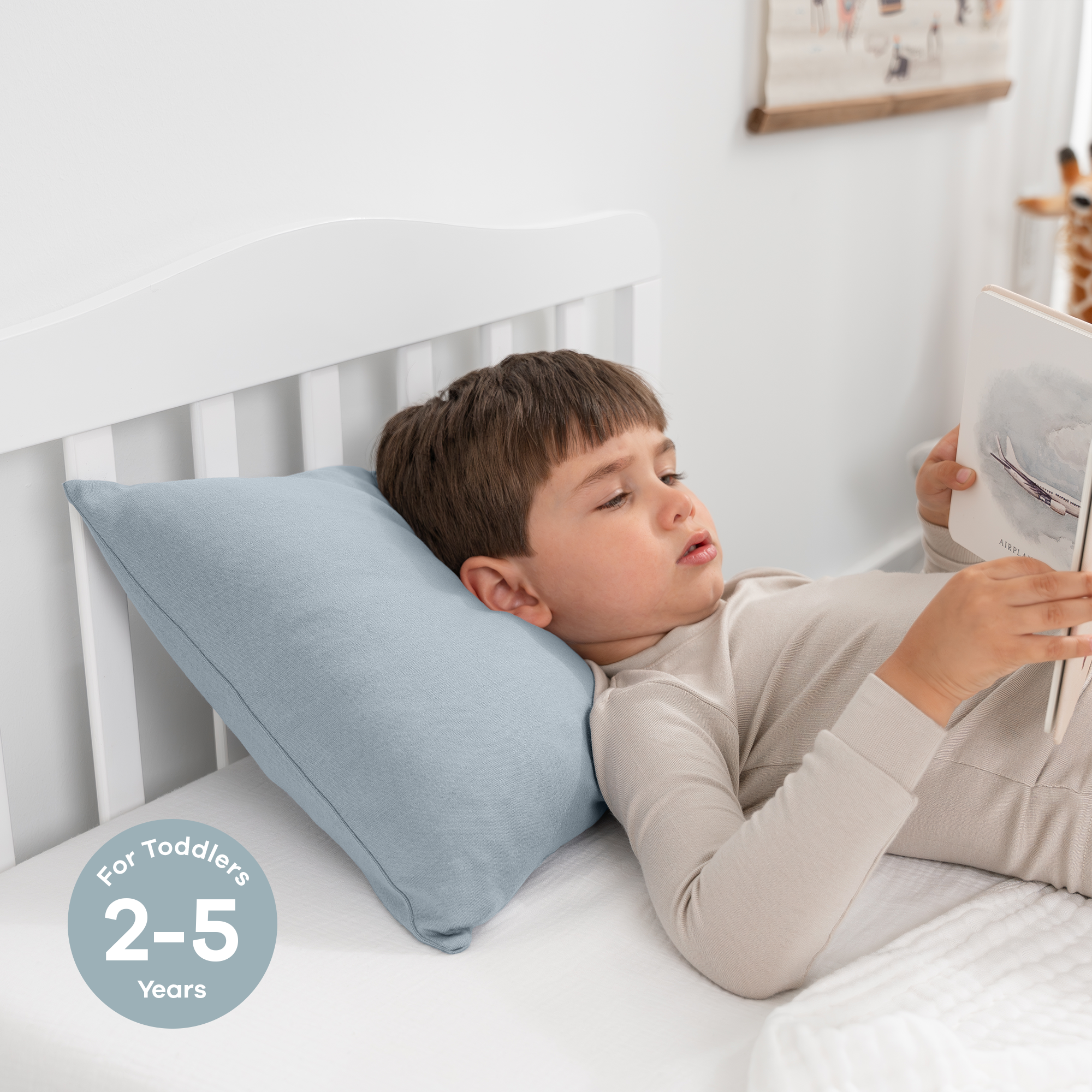 Toddler Pillows with Soft Cotton Pillow Case in Pacific Blue