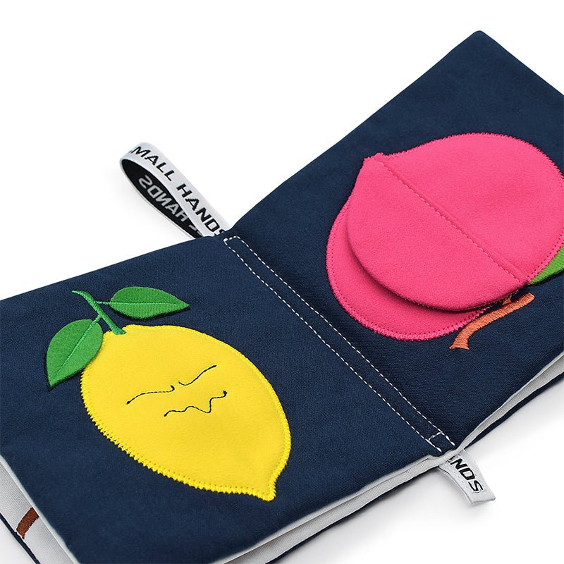 Fruits Activity Book