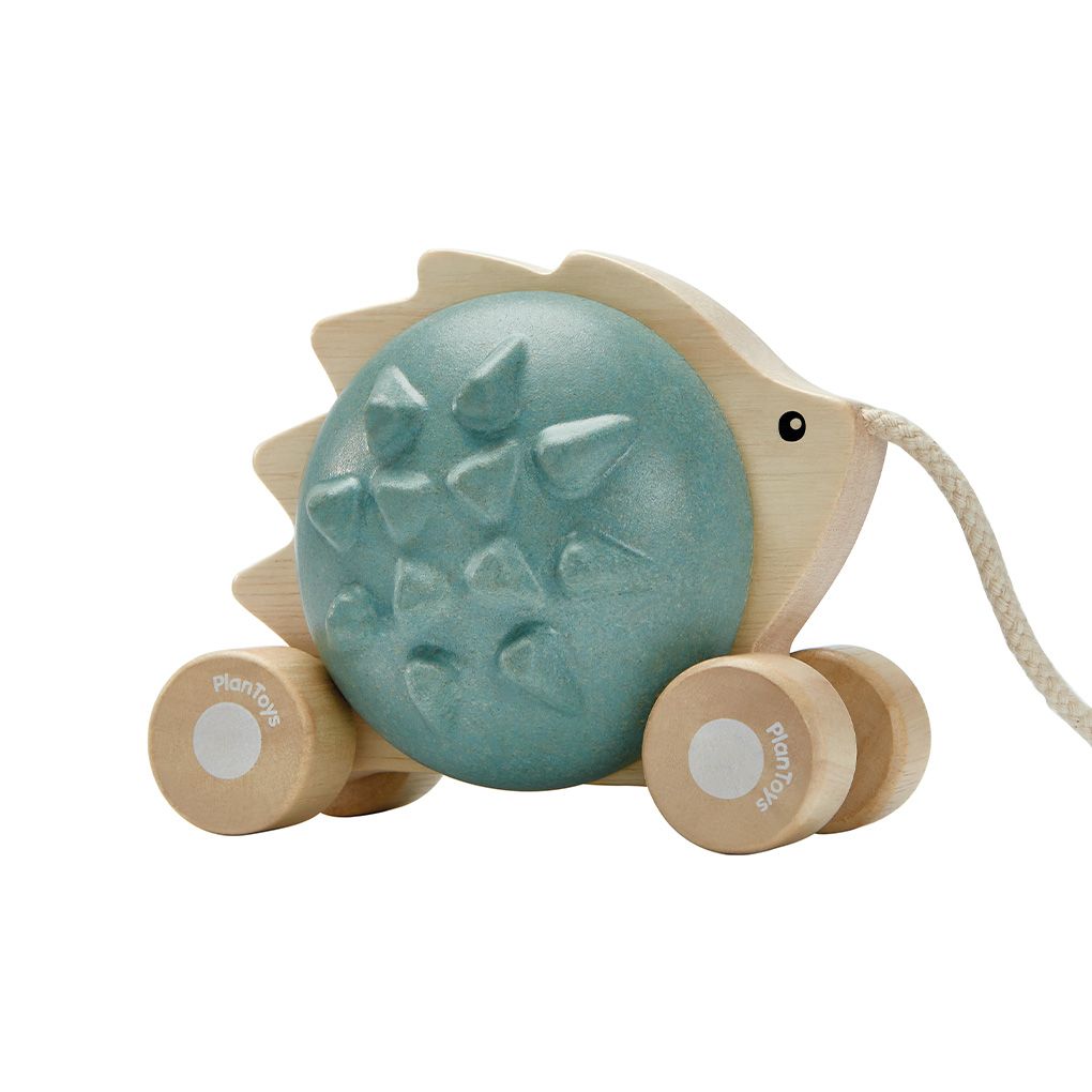 Pull-Along Hedgehog - Blue