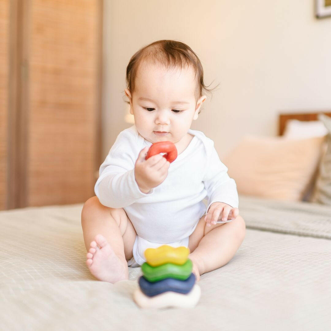 Wave Stacker  PlanToys