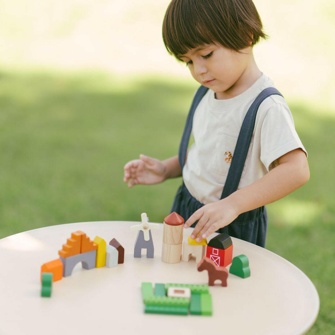 Country Blocks  PlanToys