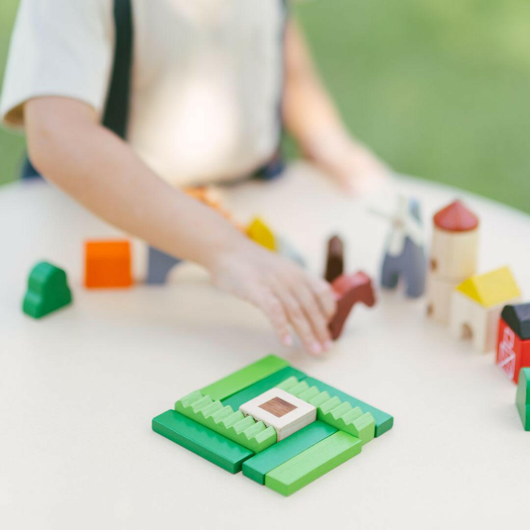 Country Blocks PlanToys