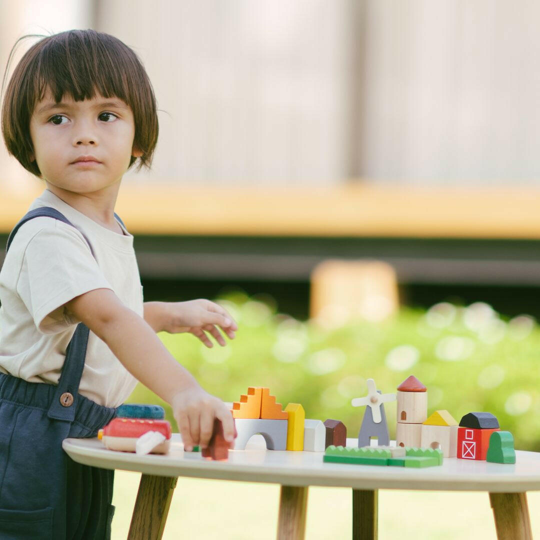 Country Blocks PlanToys