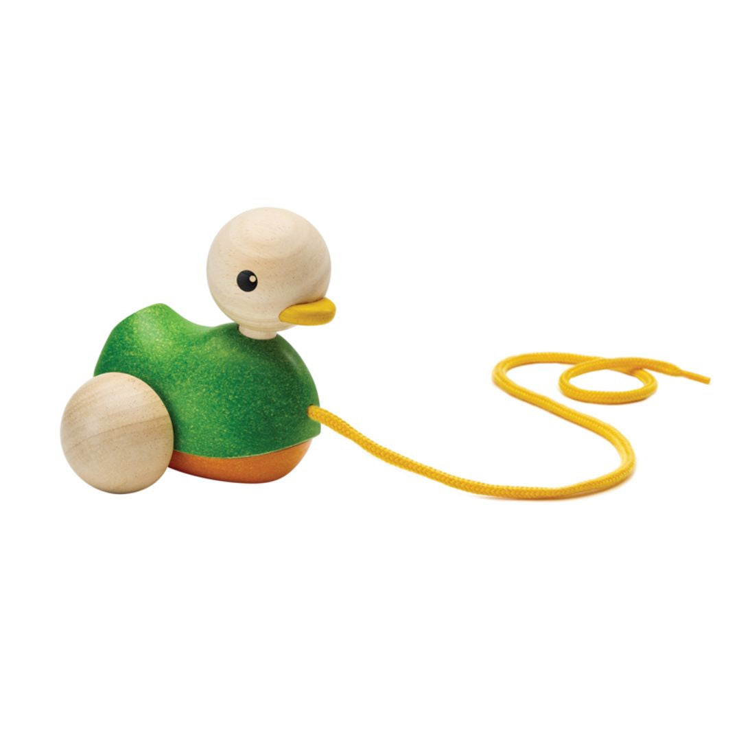 Pull-Along Duck