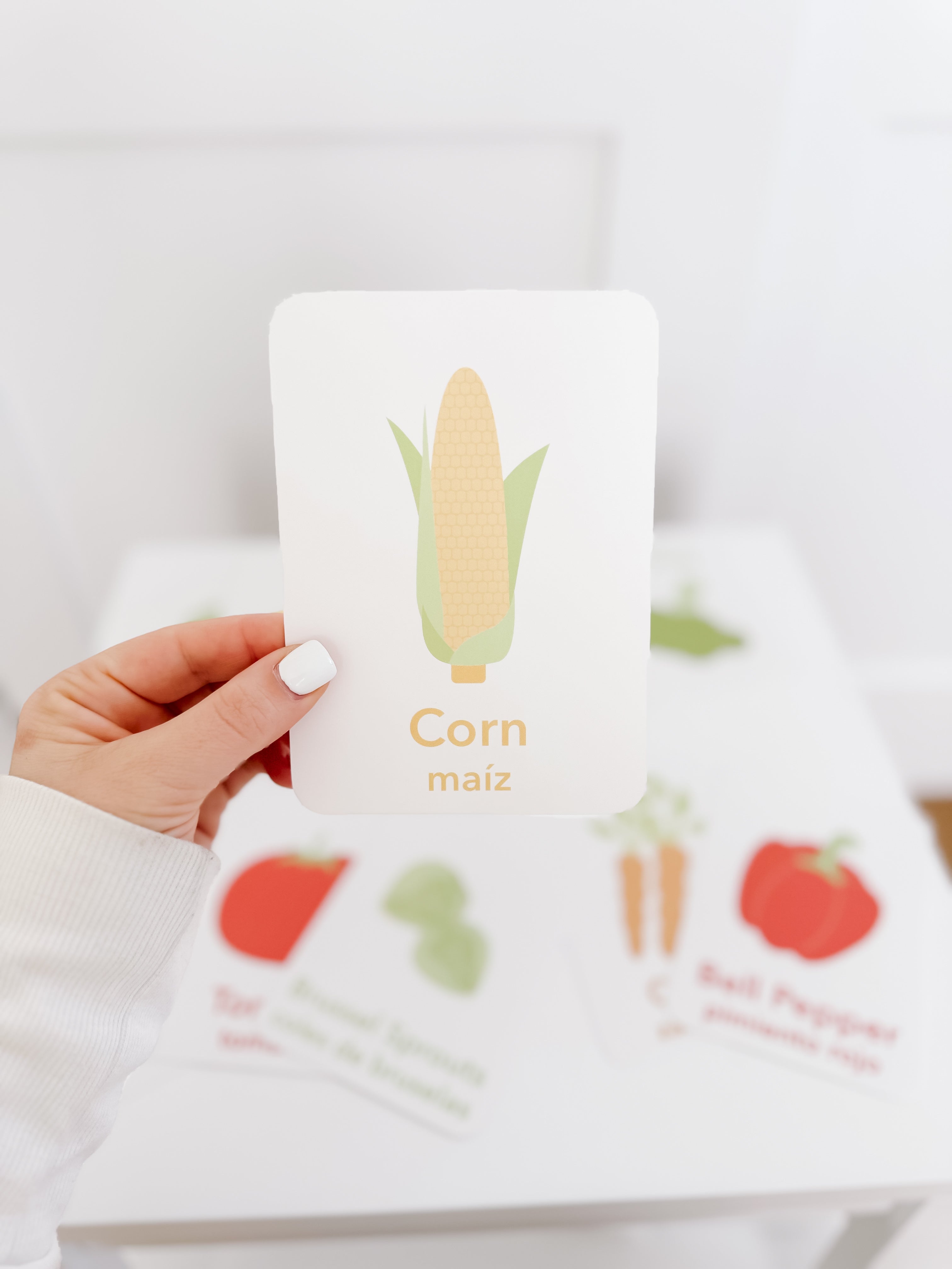 Vegetable Flashcards