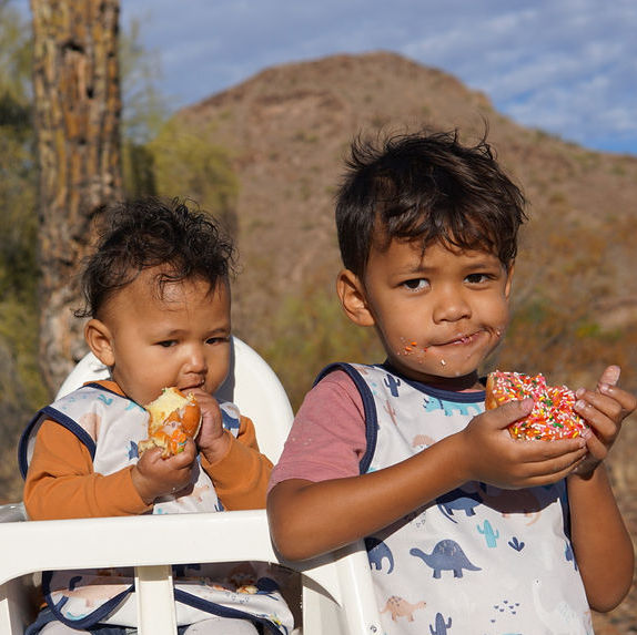 Desert Dinos Bapron BapronBaby