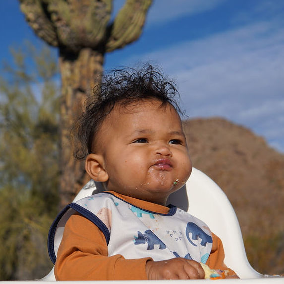 Desert Dinos Bapron BapronBaby