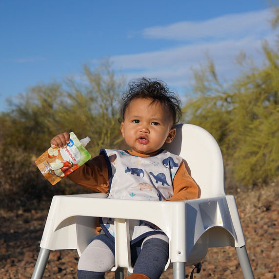 Desert Dinos Bapron BapronBaby