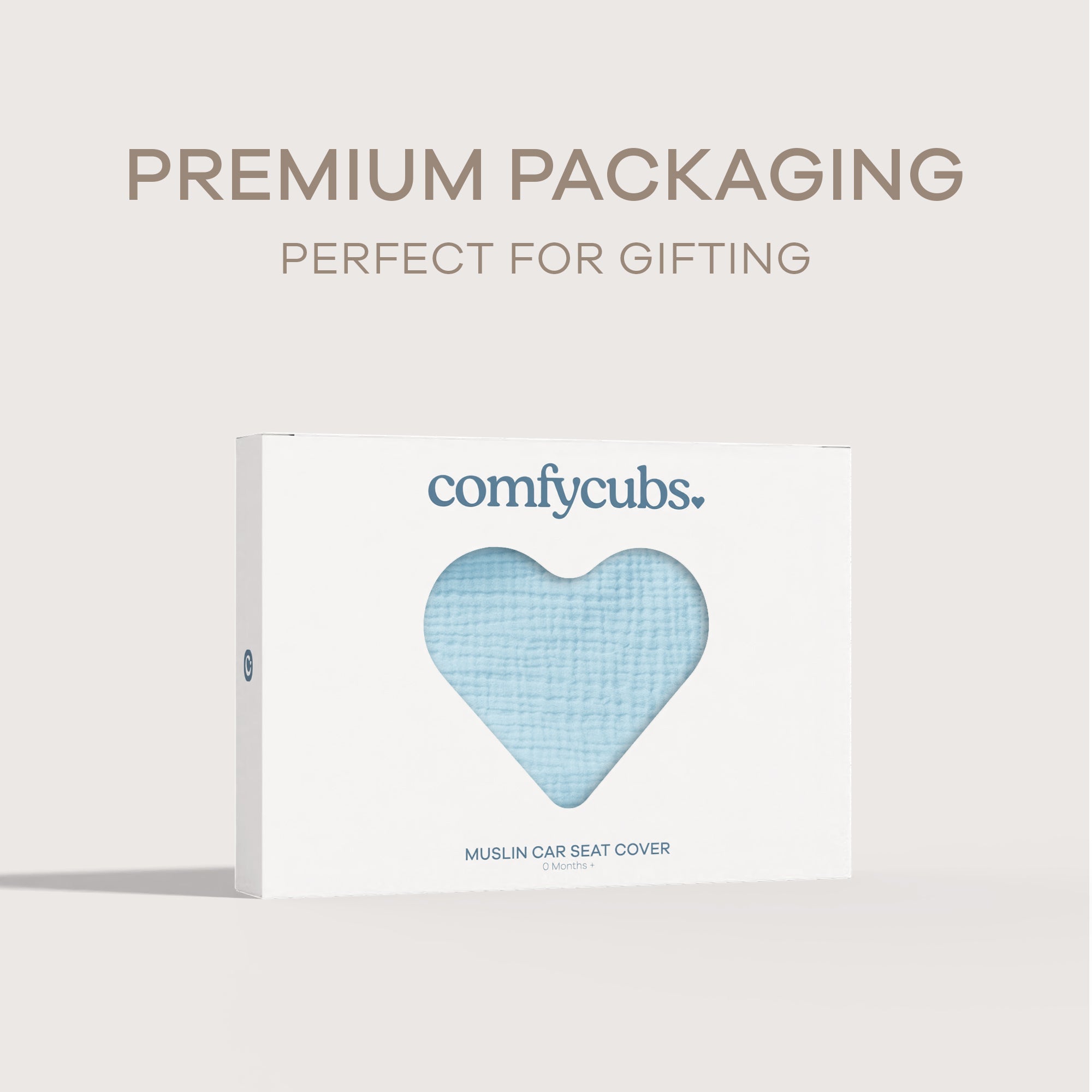 Baby Car Seat Cover in Sky Blue