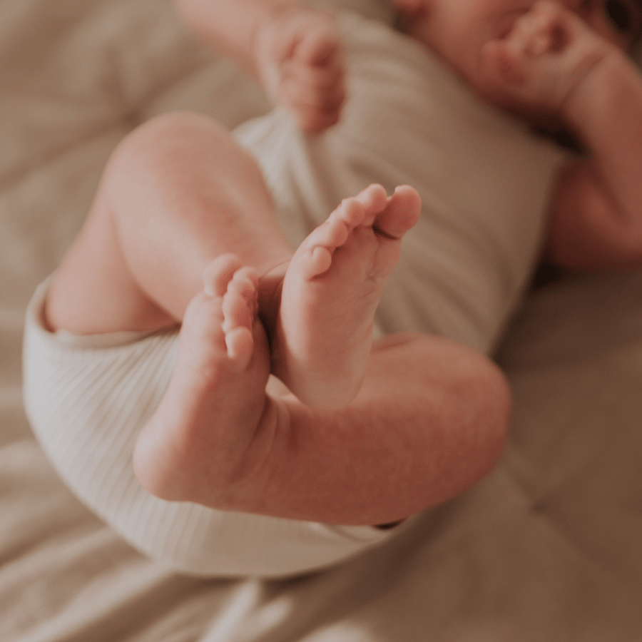 The Printed Bloomer - Linear Leaf Bloomer Lovely Littles