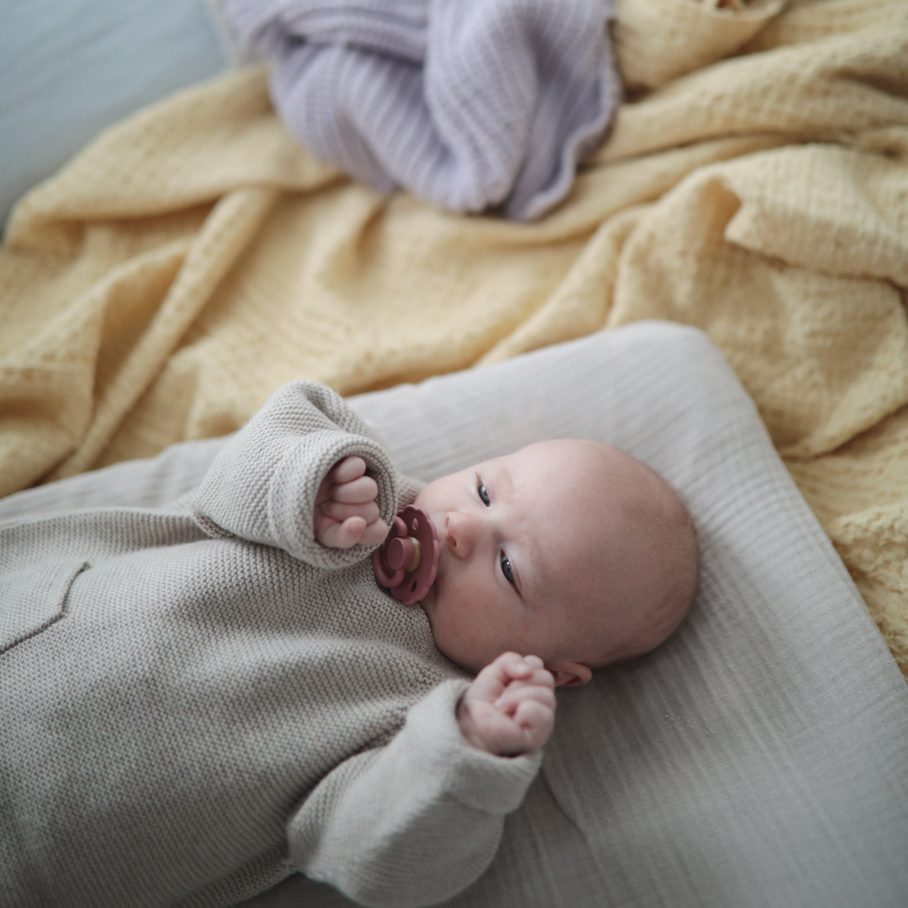 FRIGG Rope/Daisy Natural Rubber Pacifier (Sunflower/Fuchsia) 2-Pack (6-18 Months) FRIGG PACIFIERS Mushie