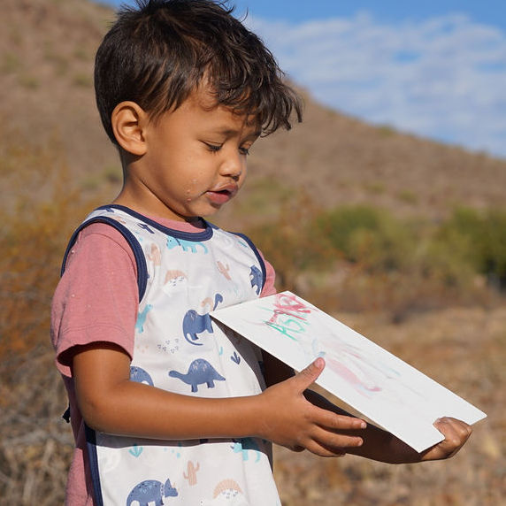 Desert Dinos Bapron BapronBaby