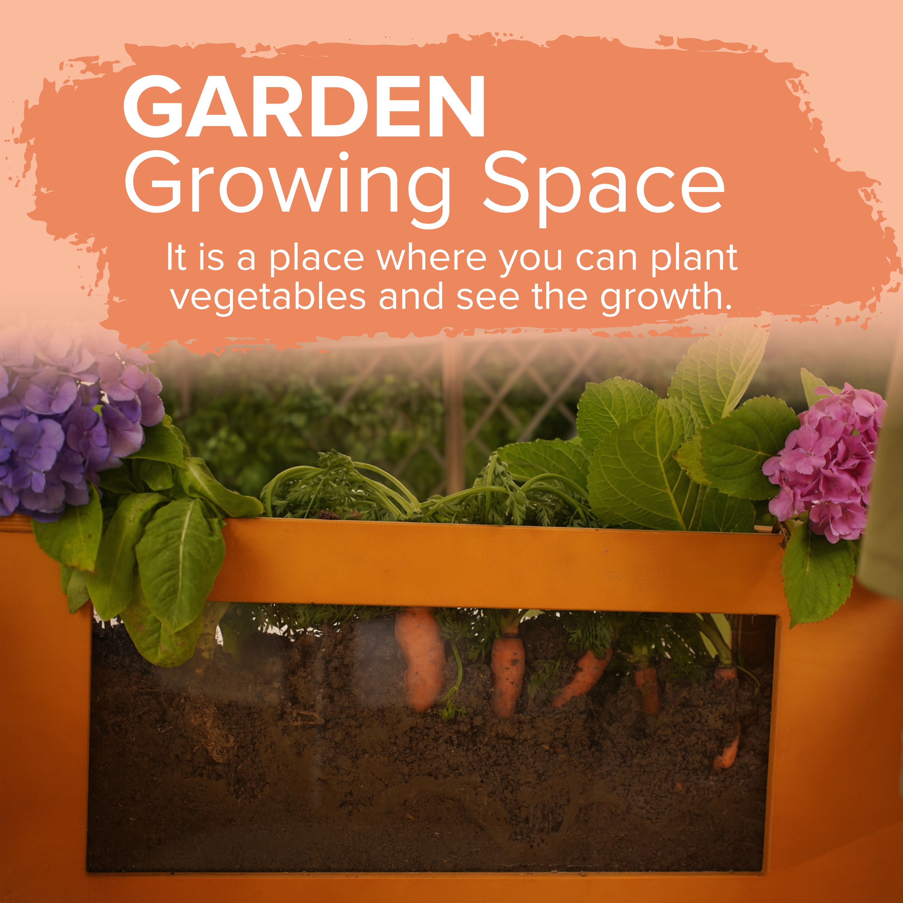 Avenlur Sumac Outdoor Wooden Play Market, Root View Planter, Mud Kitchen & Grill Station