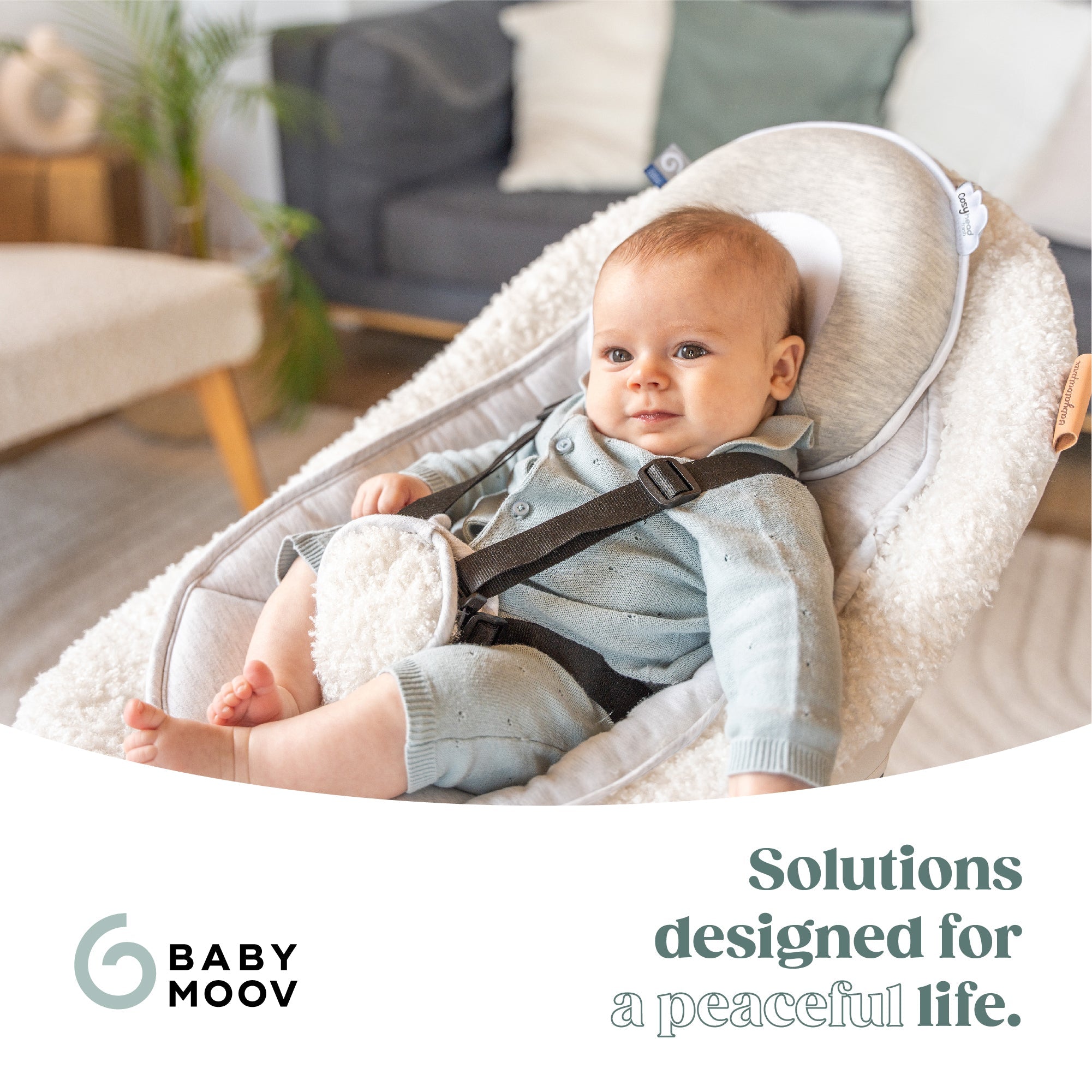 Cosyhead Baby Headrest