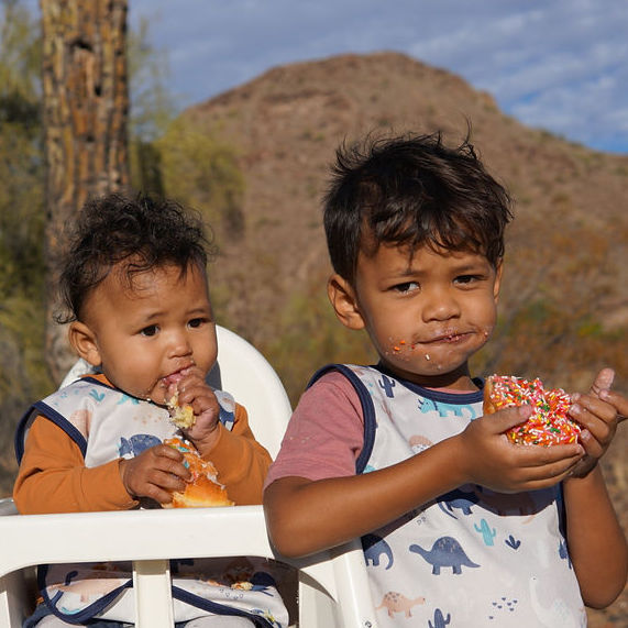 Desert Dinos Bapron BapronBaby