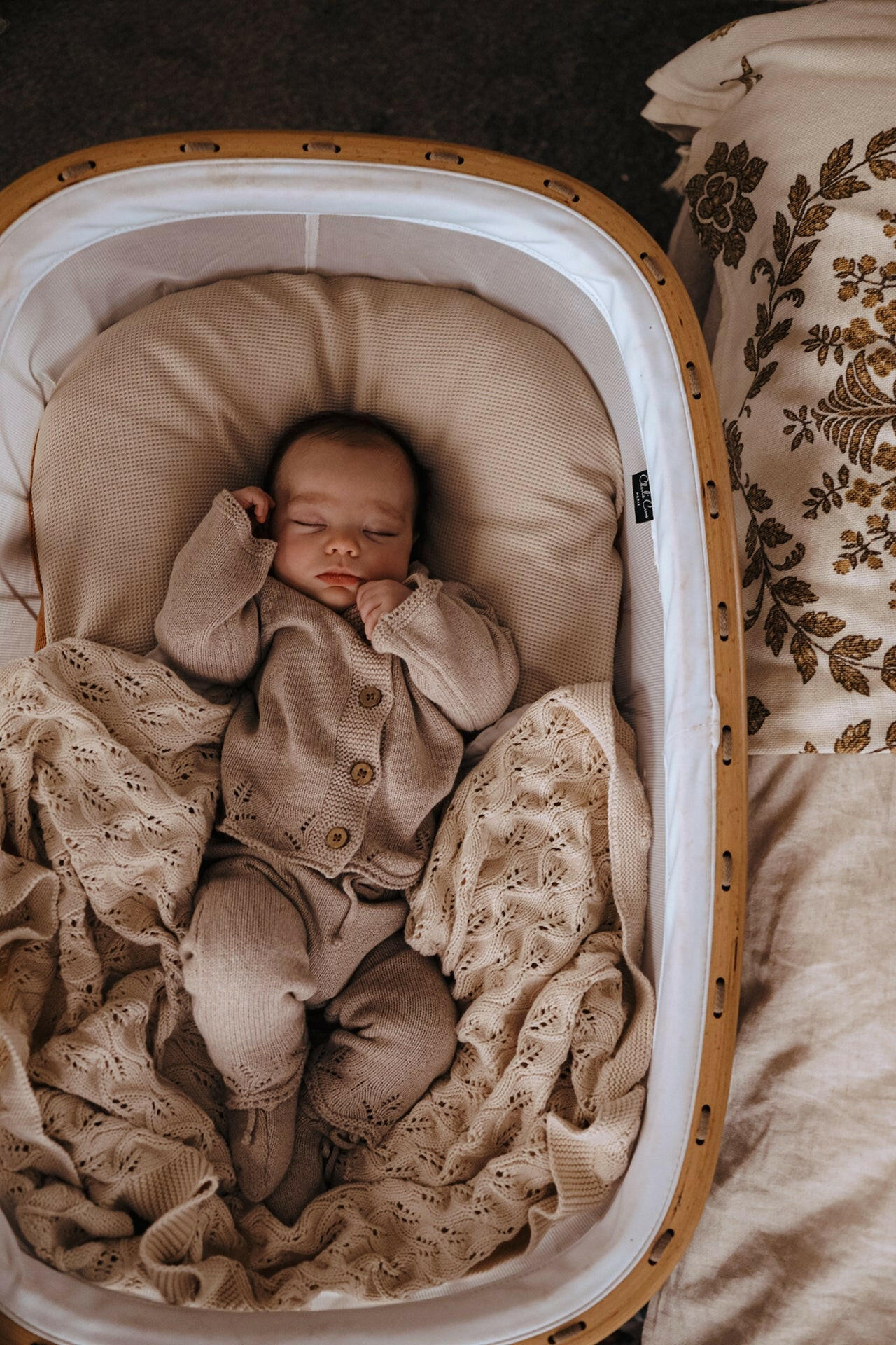 Bring Me Home Scallop Bundle - Heather Beige Luna + Luca