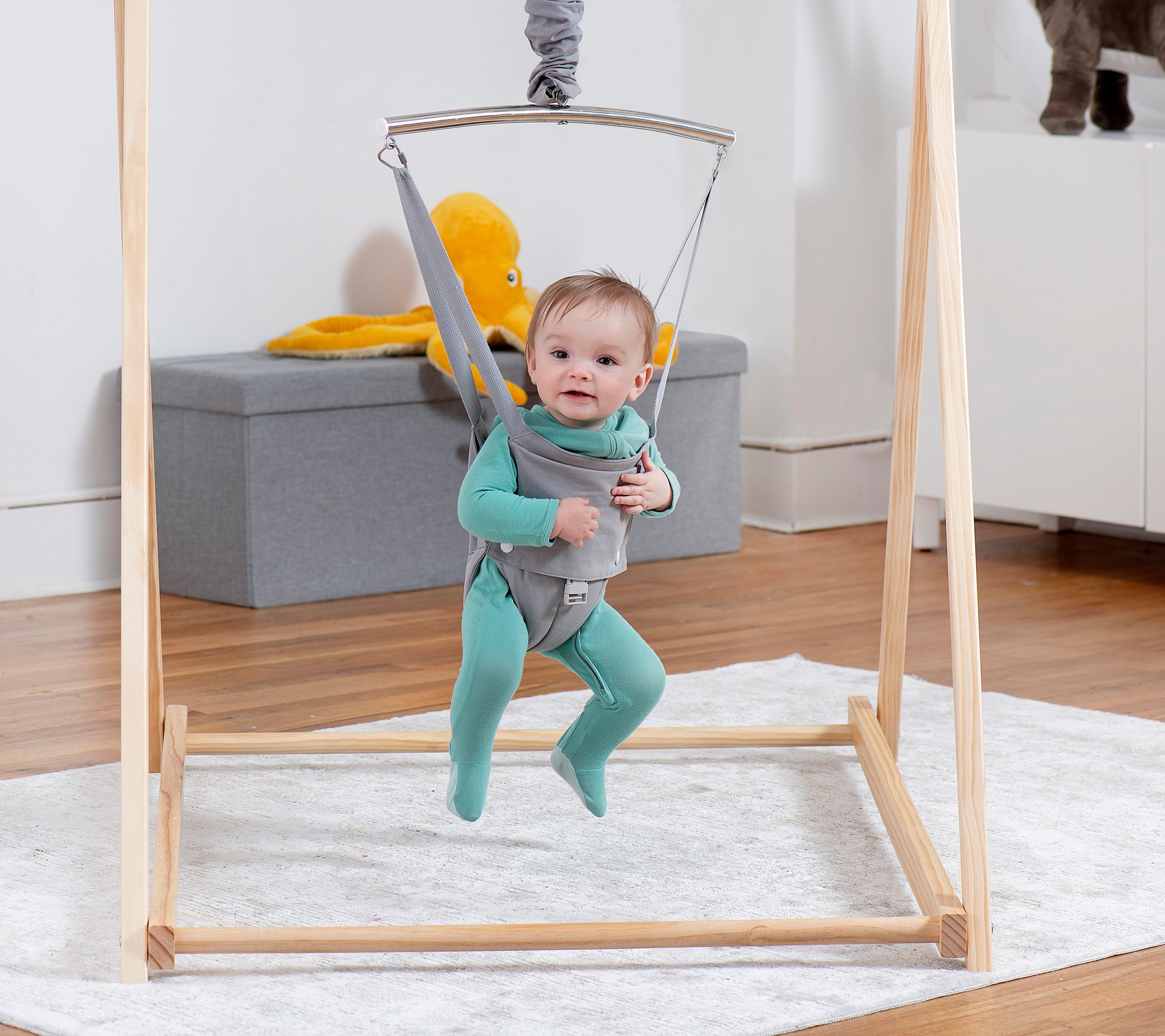 Tulip - Foldable Baby Bouncer with Harness Indoor Avenlur.com Gray Harness