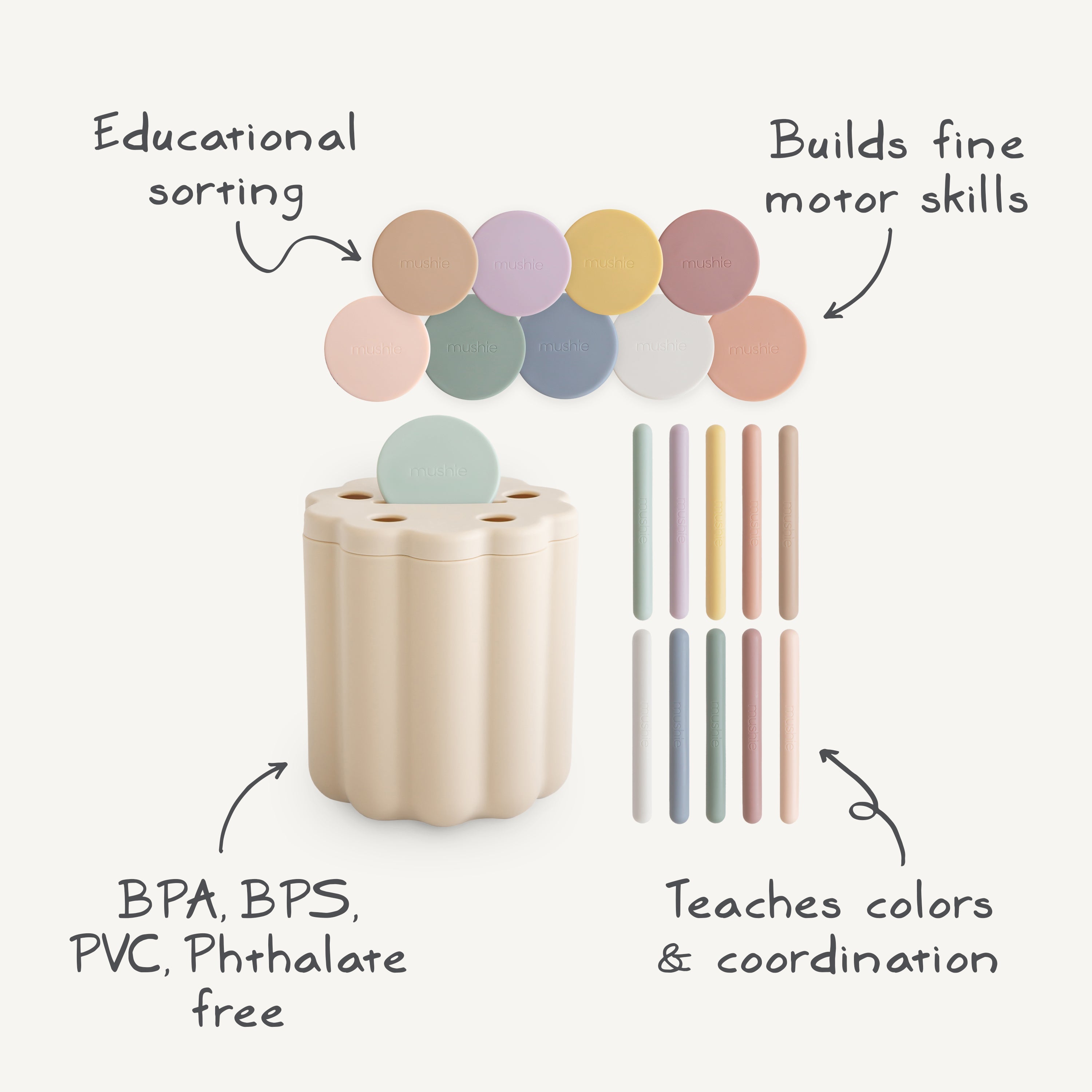 Coin & Tube Sorting Set