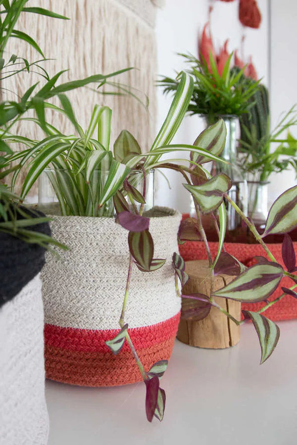 BASKET MINI TRICOLOR NATURAL Little Wonder & Co