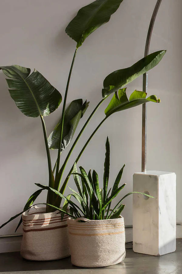 BASKET TWIN TOFFEE Little Wonder & Co