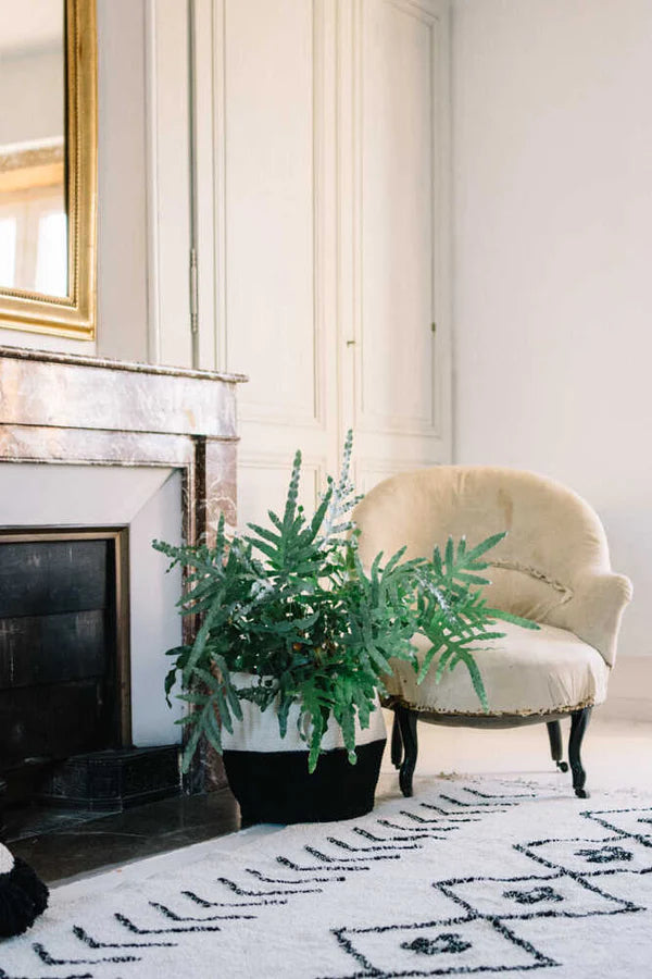 BASKET ZOCO BLACK-NATURAL Little Wonder & Co