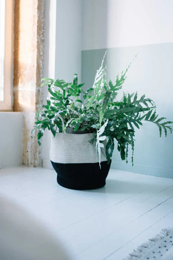 BASKET ZOCO BLACK-NATURAL Little Wonder & Co