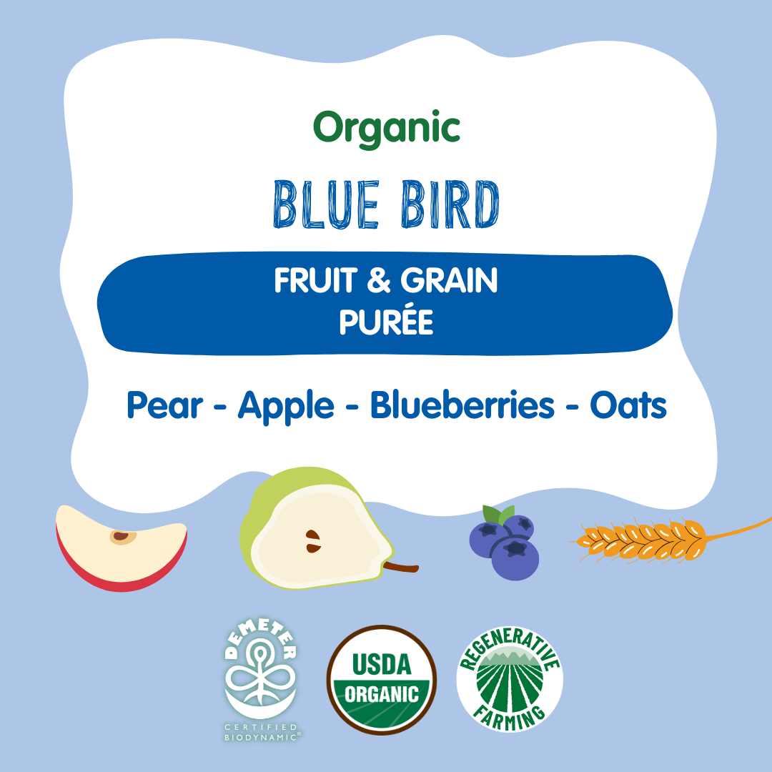 Holle Baby Food Pouches - Organic Fruit & Grain Puree - Blue Bird