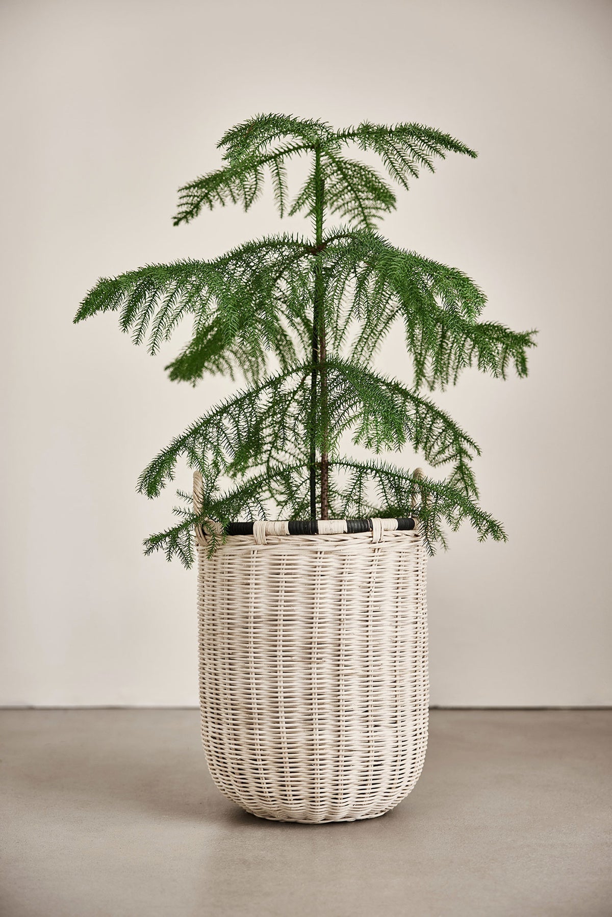 Boo Storage Basket - High Hampers + Laundry Baskets OYOY