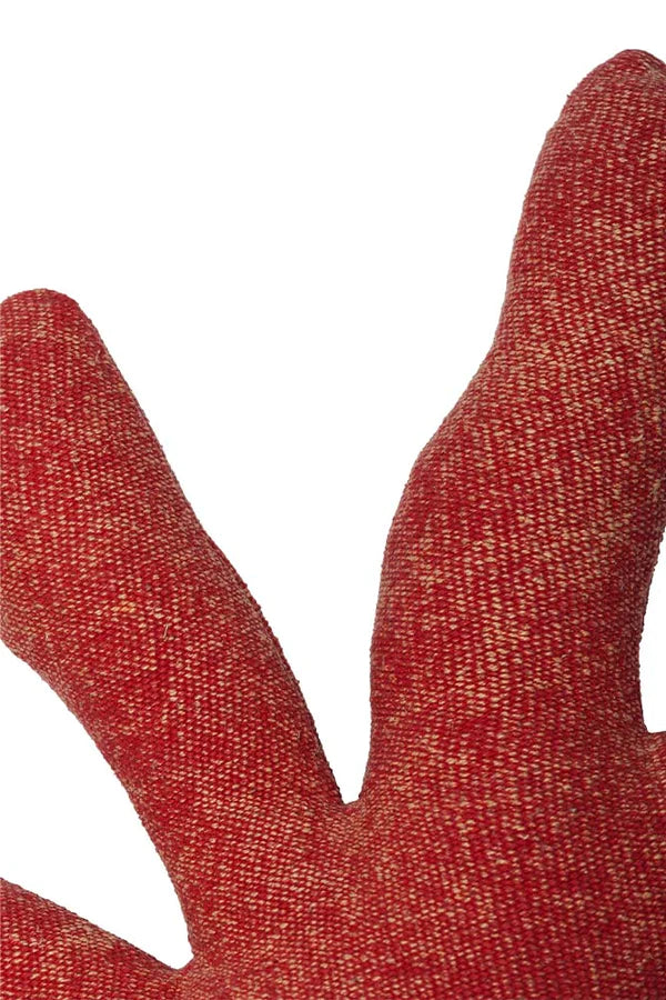 CUSHION CORAL Lorena Canals